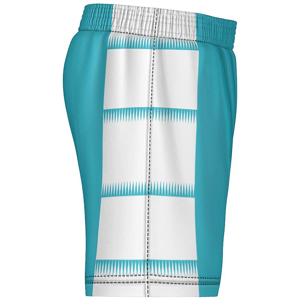 Teal shorts with white side panels featuring sawtooth stripes